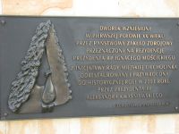 Obraz1 111